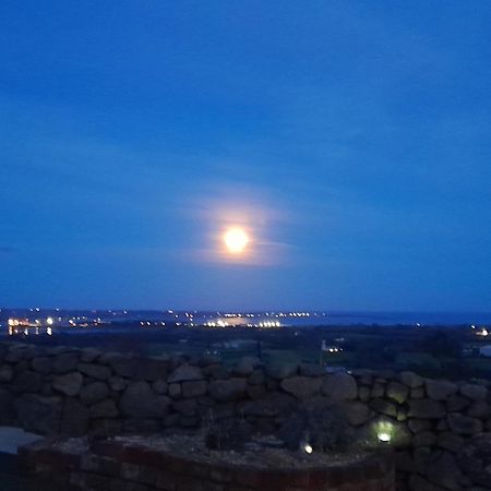 Fairy Cove At Rosemount Glamping Hotel Carlingford Exterior foto