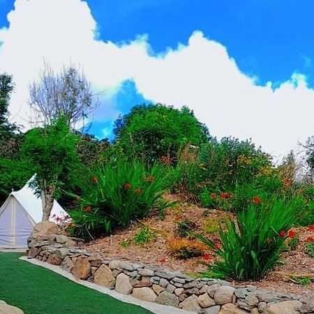 Fairy Cove At Rosemount Glamping Hotel Carlingford Exterior foto