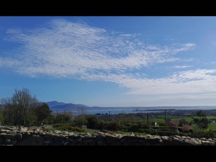 Fairy Cove At Rosemount Glamping Hotel Carlingford Exterior foto